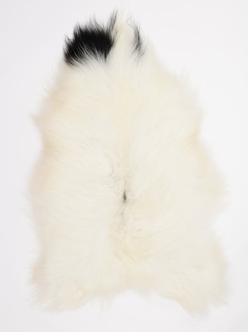 Isländisches Schaffell Mehrfarbig XL