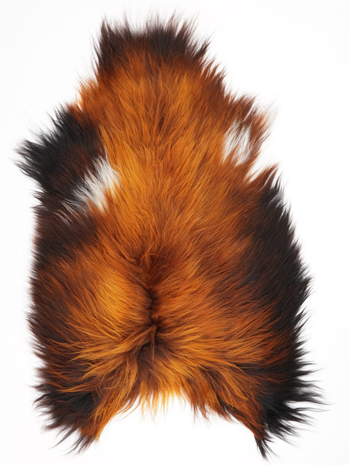 Isländisches Schaffell Rusty XL