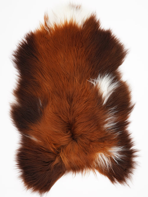 Isländisches Schaffell Rusty XL