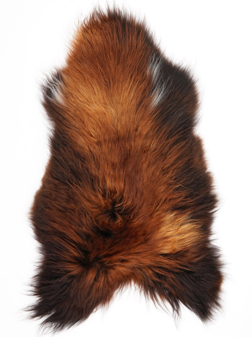 Isländisches Schaffell Rusty L