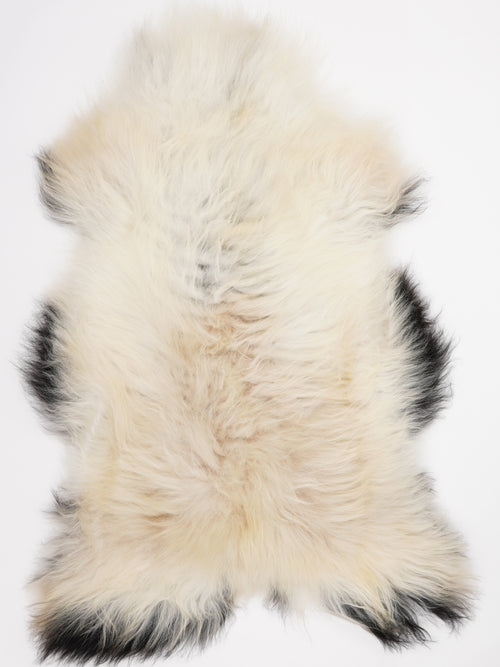 Isländisches Schaffell Mehrfarbig XL