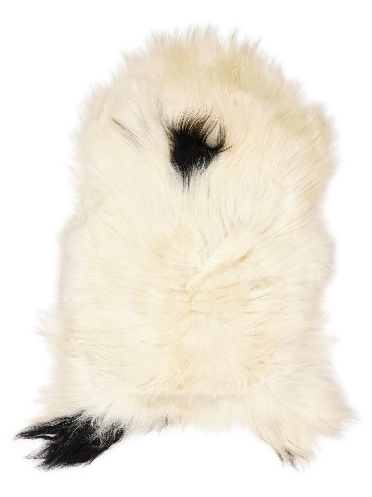 Mehrfarbiges isländisches Schaffell, ca. 120 × 70 cm, von oben fotografiert: genau das Fell, das Sie erhalten