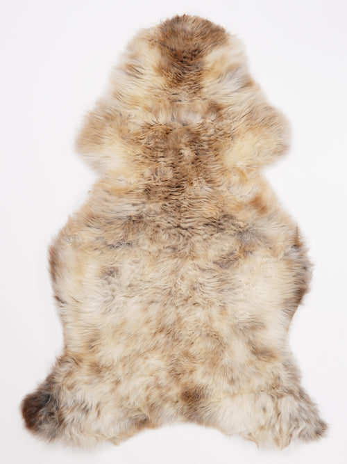 OV00058