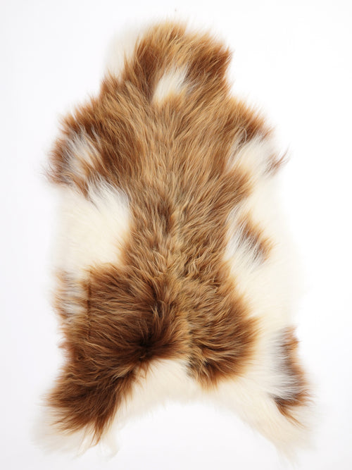 Isländisches Schaffell Mehrfarbig XL