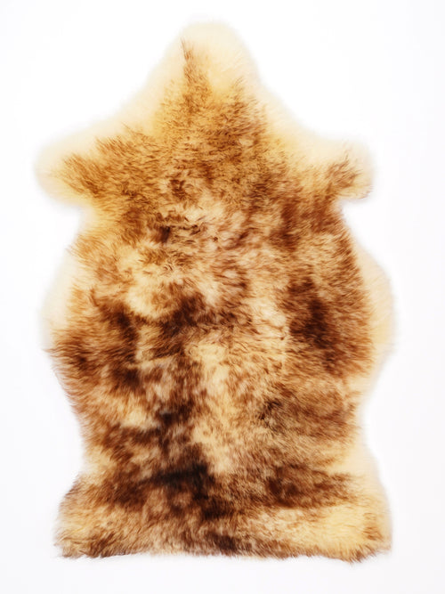 NF00021