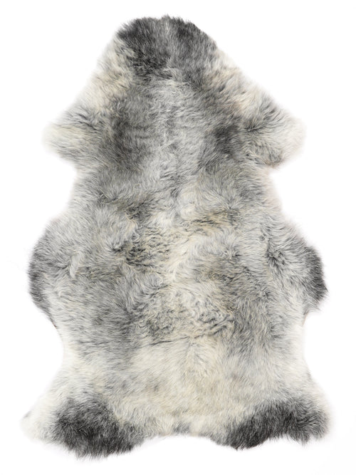 NG00100