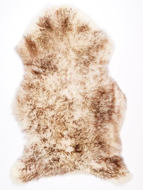 NF00036