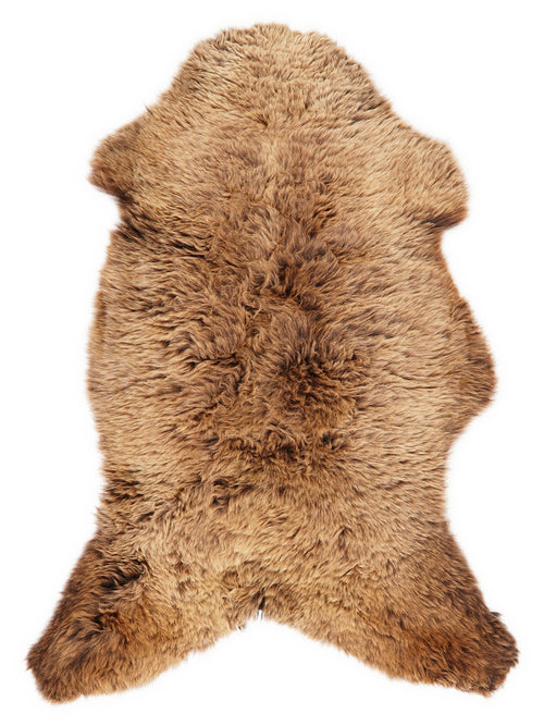 OZ00018