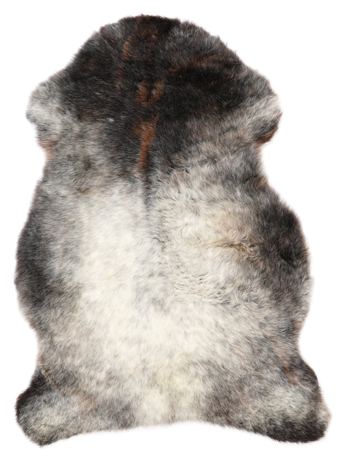 NF00079