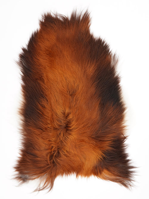 Isländisches Schaffell Rusty XL
