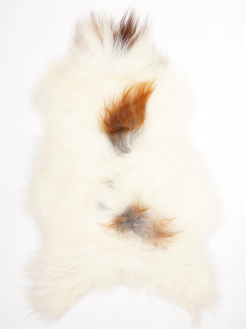 Isländisches Schaffell Mehrfarbig XL