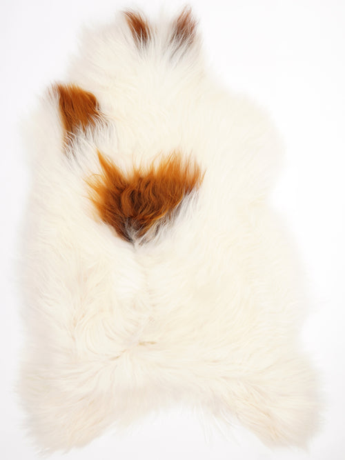 Isländisches Schaffell Mehrfarbig XXL