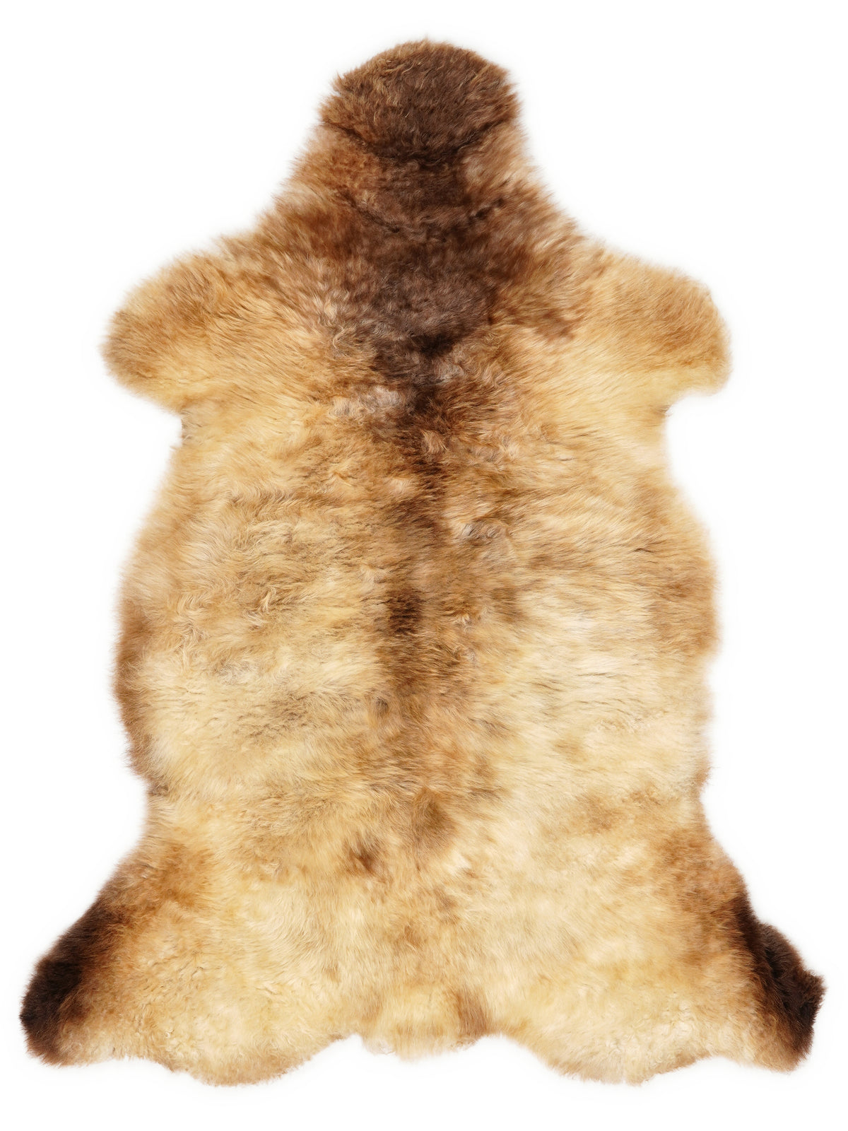 Mehrfarbiges britisches Lammfell, ca. 110 × 60 cm, von oben fotografiert: genau das Fell, das Sie erhalten