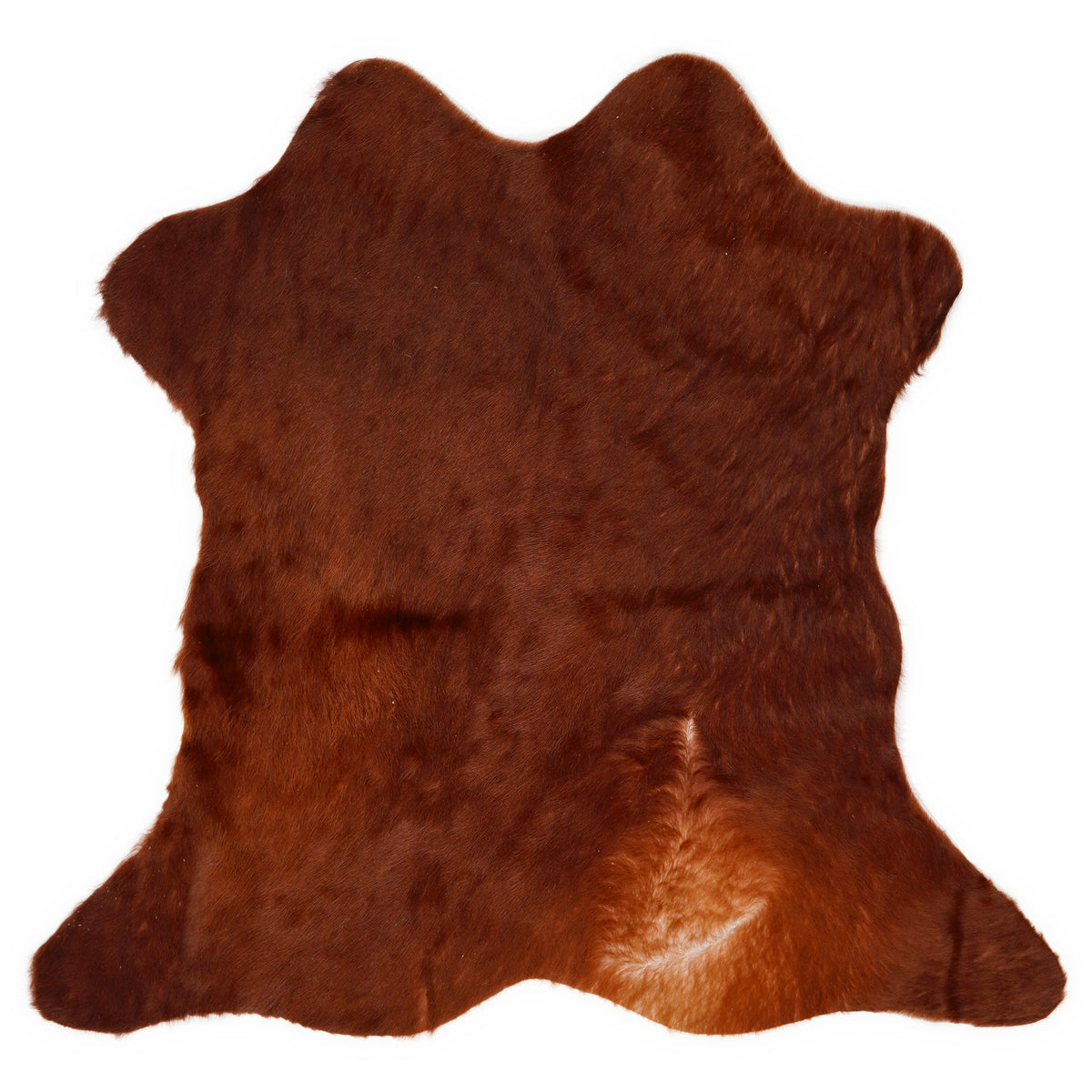 Mini-Kuhfell, ca. 70 × 70 cm, von oben fotografiert: genau das Fell, das Sie erhalten