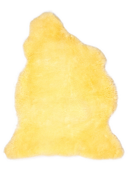 OZ00029