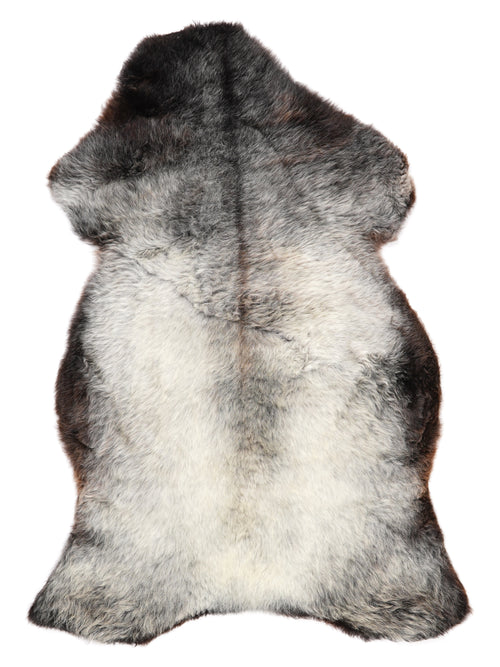 NF00085