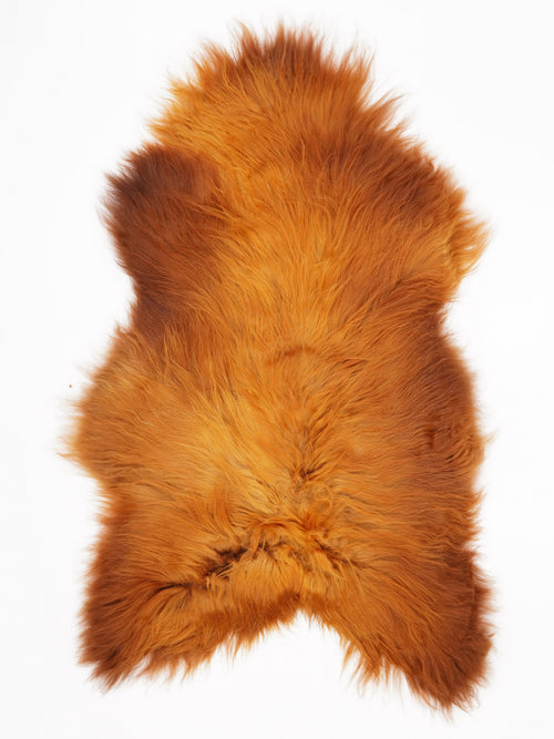 OX00046