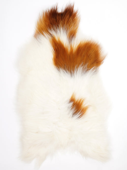 Isländisches Schaffell Mehrfarbig XL