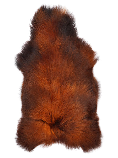 NE00089