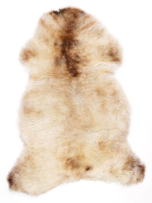 NG00023