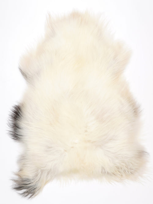 NH00085